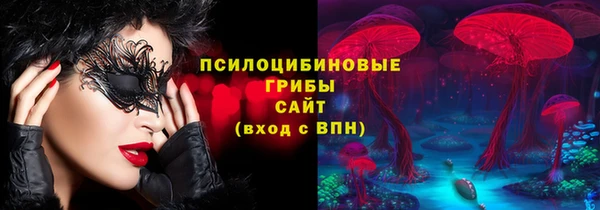 крисы Каменка