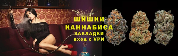 крисы Каменка