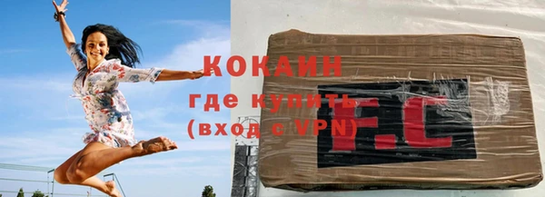 крисы Каменка