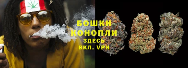 мдпв Шарыпово