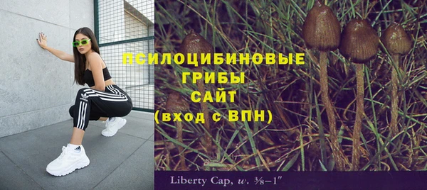 крисы Каменка