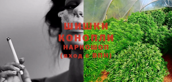 крисы Каменка