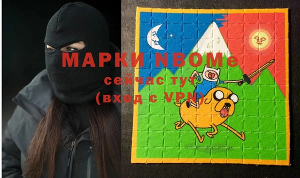 крисы Каменка