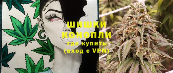 крисы Каменка
