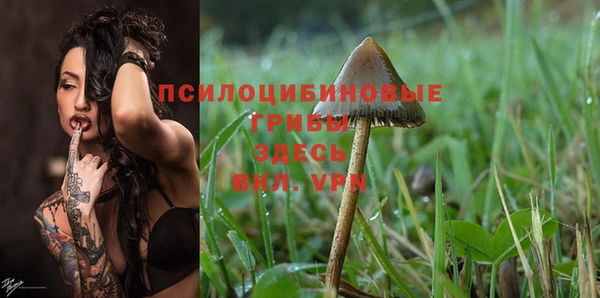 герыч Каменногорск