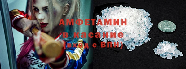 крисы Каменка