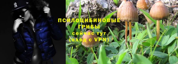 прущий лед Каменск-Шахтинский