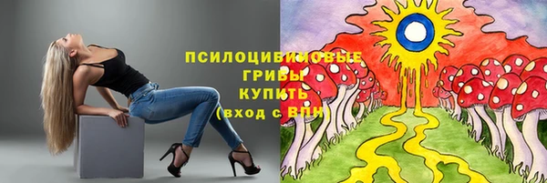 каннабис Инта